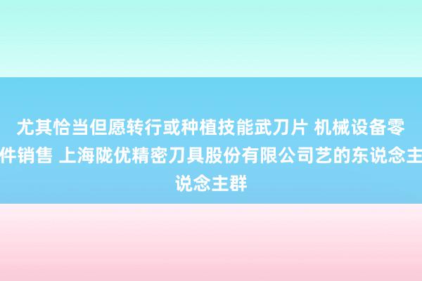 尤其恰当但愿转行或种植技能武刀片 机械设备零部件销售 上海陇优精密刀具股份有限公司艺的东说念主群