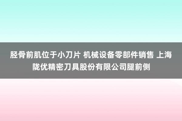 胫骨前肌位于小刀片 机械设备零部件销售 上海陇优精密刀具股份有限公司腿前侧